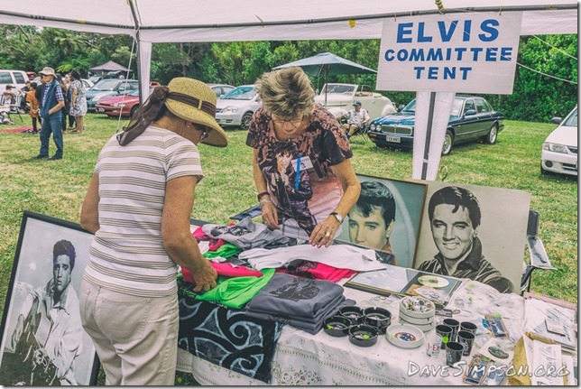 Elvis In The Park 2017